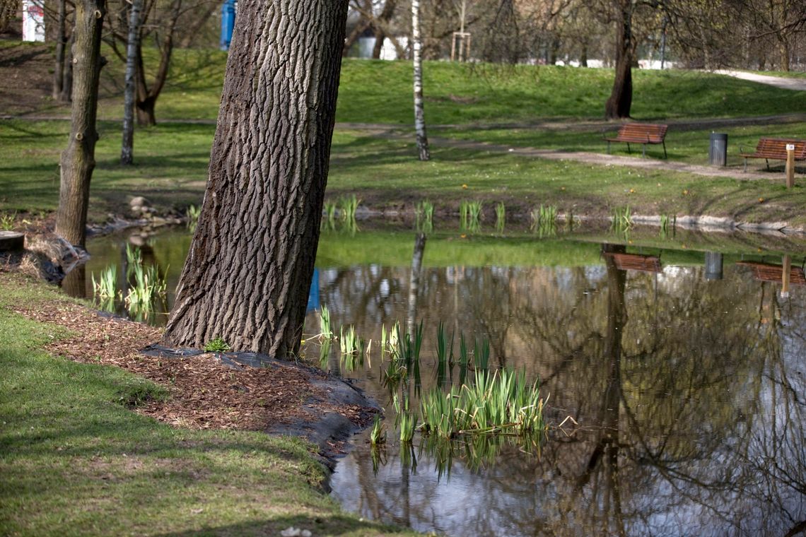 Park Kaskada. Zobacz jak pięknie prezentuje się jeden z najstarszych parków Warszawy