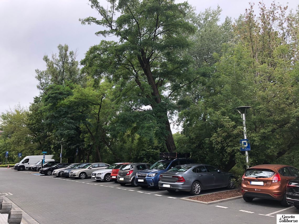 Pierwsza strefa płatnego parkowania na Żoliborzu. Czy kierowcy płacą za postój?