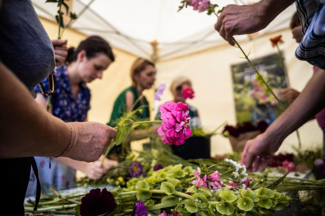 Piknik w Parku Żeromskiego