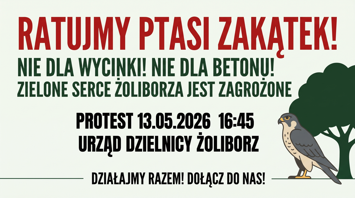 Po co to przedszkole? Liczby mówią same za siebie