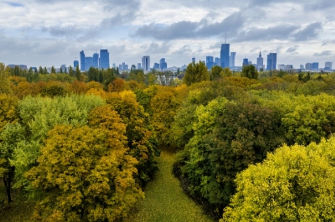 Program ochrony środowiska dla Warszawy na lata 2025-2030