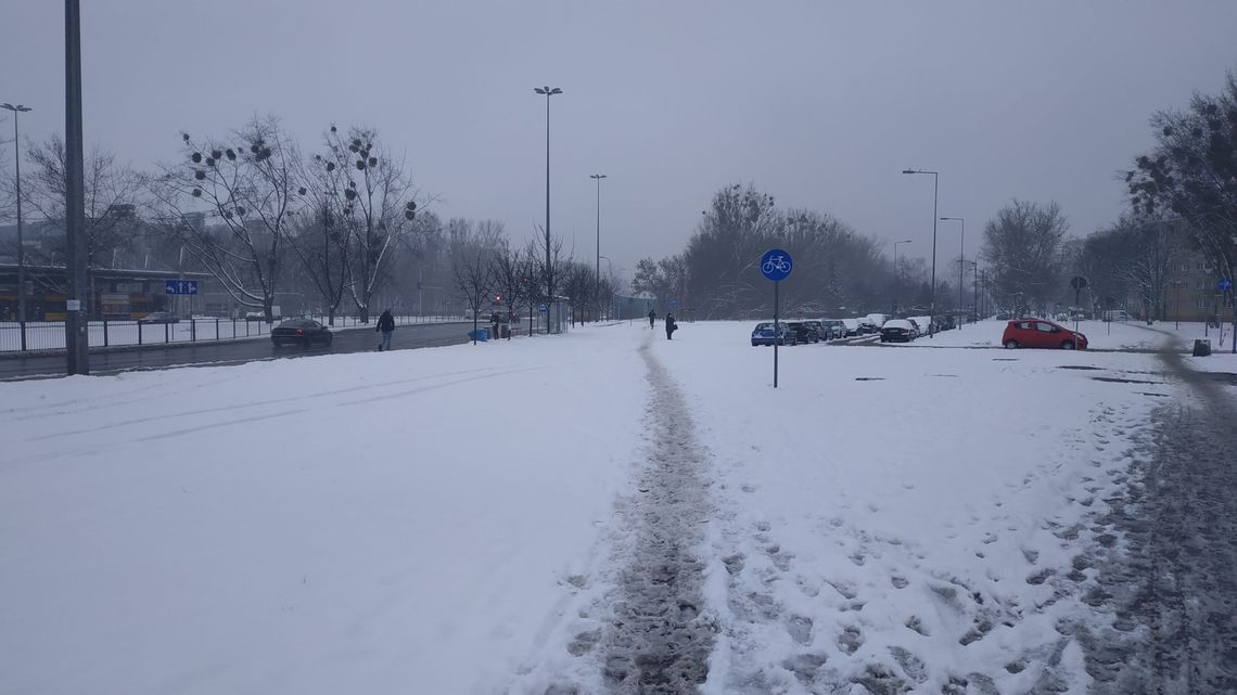Rowerem przez śnieg - dlaczego drogi rowerowe przestały być odśnieżane?