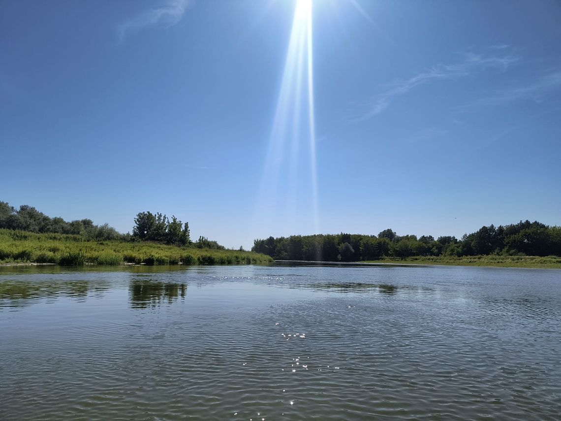 Pilica, spływ rzeką w ramach cyklu Rzeki Mazowsza