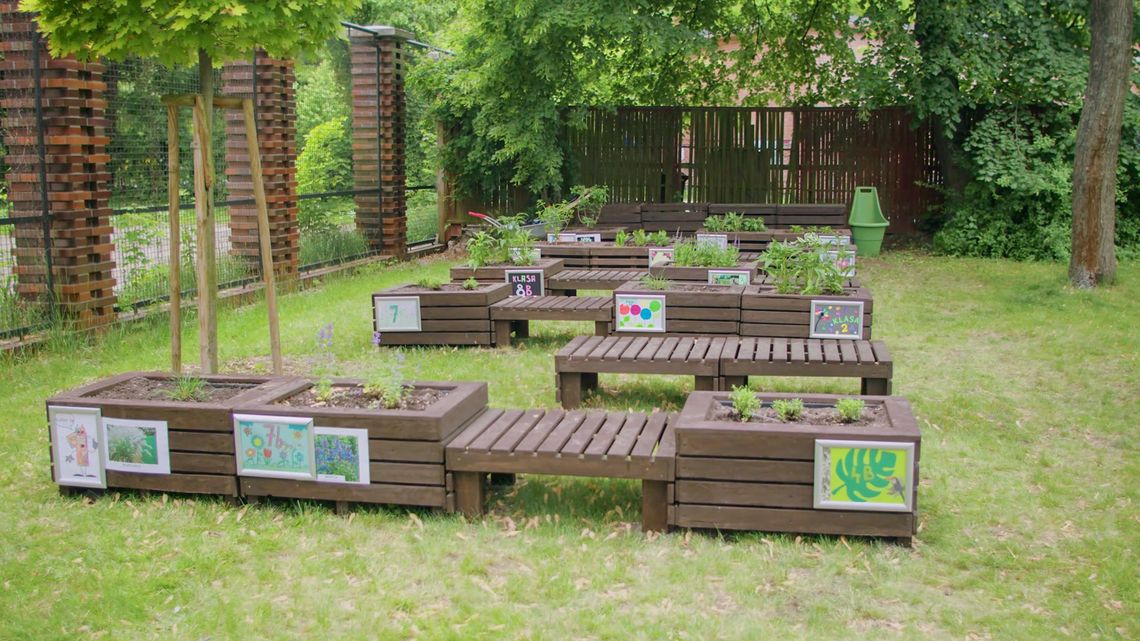 Uczniowie z Żoliborza stworzyli ogród społeczny