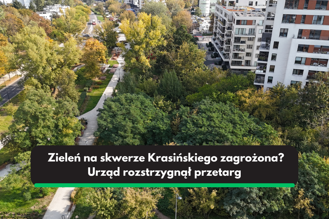 Urząd chce przerobić dziki zagajnik na park rekreacji Urząd chce przerobić dziki zagajnik na park rekreacji