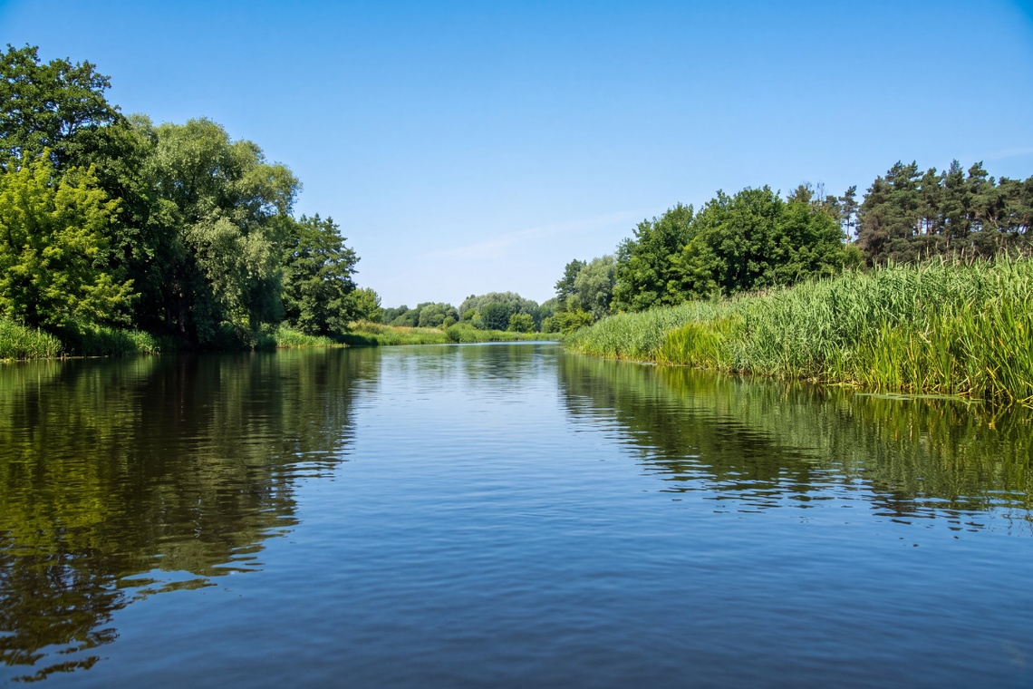 Wkra na jeden dzień. Spływ z Jońca do Pomiechówka - Rzeki Mazowsza, odcinek 3