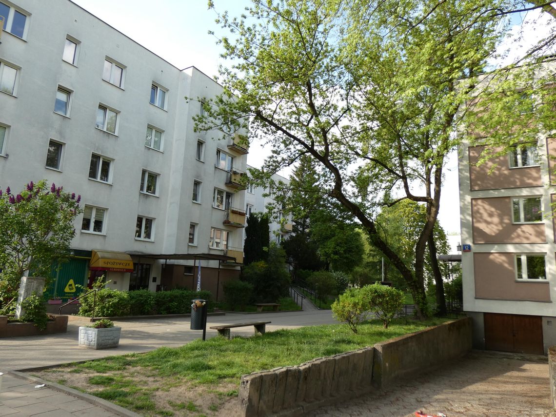 Zatrasie pod ochroną konserwatorską – jak wyglądała droga do wpisu do rejestru zabytków?