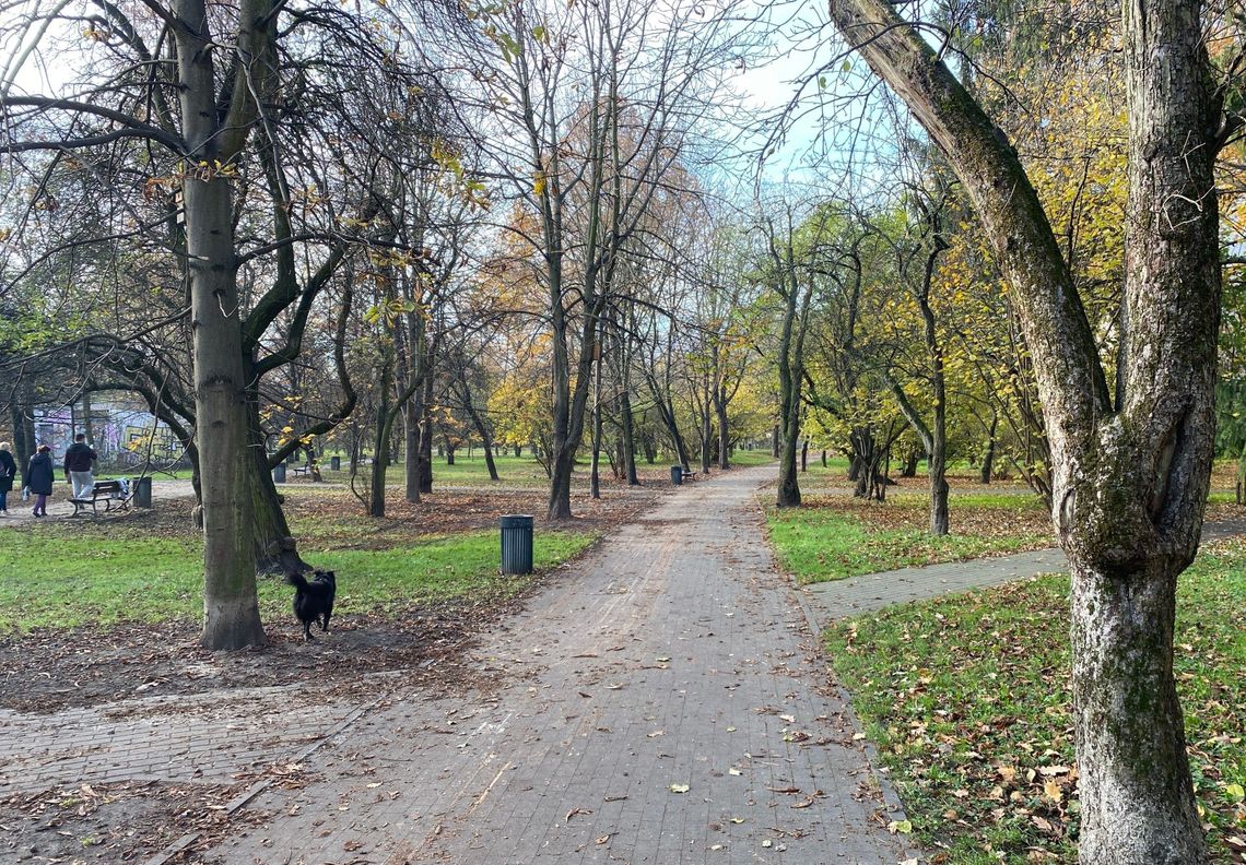 Zieleń w parku Sady Żoliborskie zdemolowana