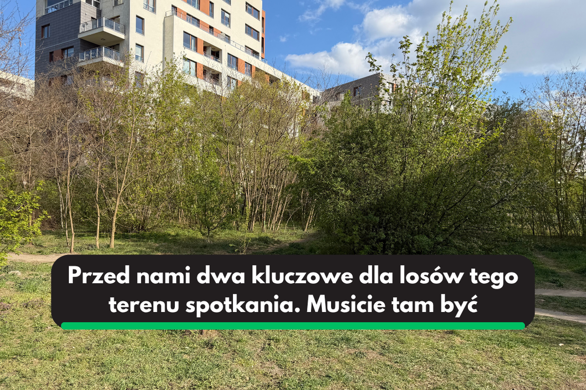 Zielona działka przy Przasnyskiej. Mieszkańcy znowu muszą walczyć o zieleń