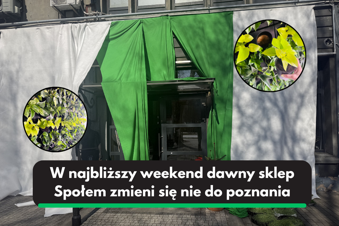 Zielona rewolucja na Żoliborzu. LET’S GREEN już w ten weekend