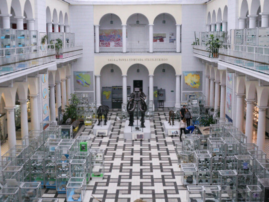 muzeum-geanologiczne