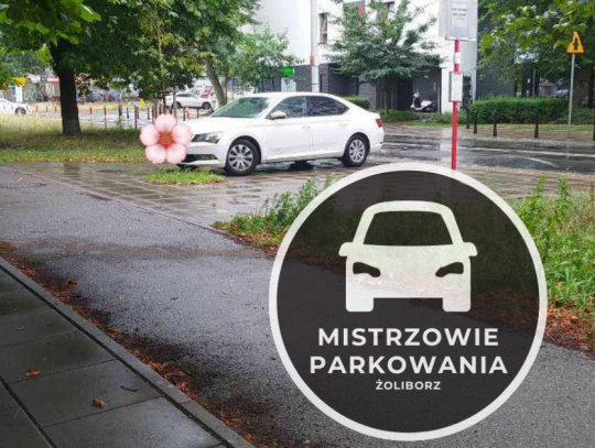 mistrzowie parkowania (1)