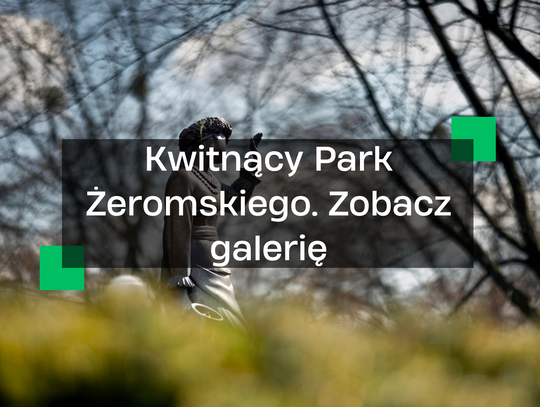 Przyroda w pełnym blasku: Kolorowy Park Żeromskiego na zdjęciach