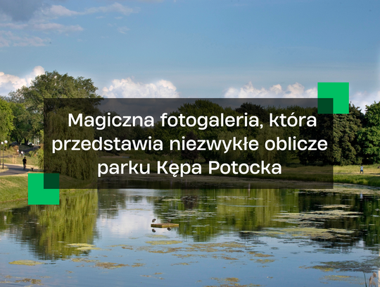 Magia parku Kępa Potocka na Żoliborzu. Zobacz galerię zdjęć