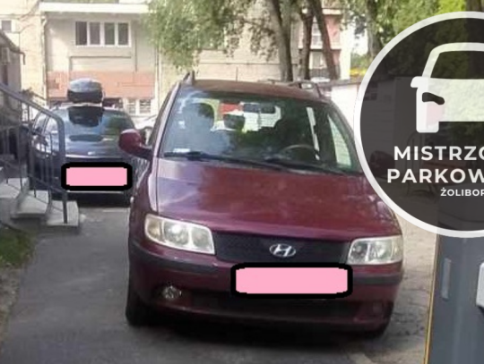 mistrzowie parkowania 9
