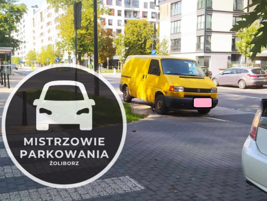 mistrzowie parkowania 14