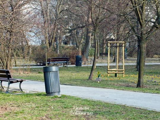 Mieszkańcy sadzą krokusy i zabezpieczają , dzielnica demontuje