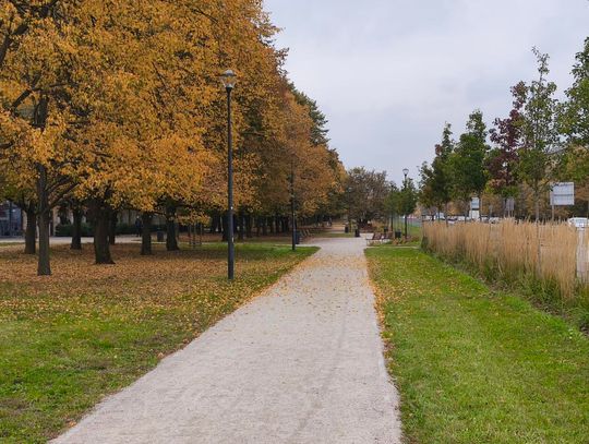 Skwer Lane'a Kirklanda na Żoliborzu. Gdzie powstanie i kim był jego patron?