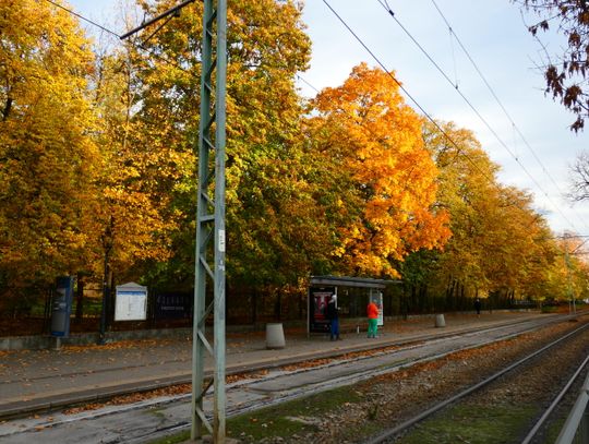 Czy ochrona w Parku Żeromskiego jest potrzebna i ile kosztuje jej utrzymanie? Czy ochrona w Parku Żeromskiego jest potrzebna i ile kosztuje jej utrzymanie?
