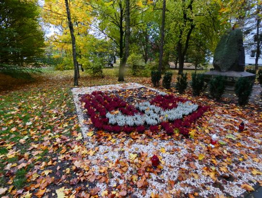 Kolejna dewastacja w Parku Żołnierzy „Żywiciela”. Najpierw rzeźba, teraz miejsce pamięci narodowej Kolejna dewastacja w Parku Żołnierzy „Żywiciela”. Najpierw rzeźba, teraz miejsce pamięci narodowej