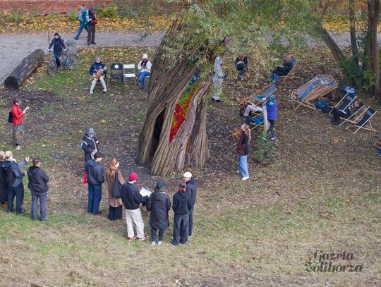 Rzeźba „Wierzba” Jana Sajdaka - galeria ze zdjęciami Rzeźba „Wierzba” Jana Sajdaka - galeria ze zdjęciami
