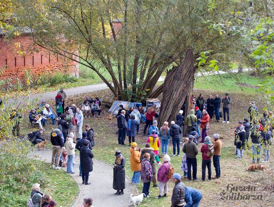 Rzeźba "Wierzba" Jana Sajdaka - wielkie otwarcie