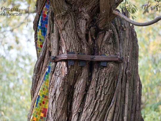 Rzeźba "Wierzba" Jana Sajdaka - wielkie otwarcie