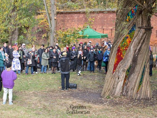 Rzeźba "Wierzba" Jana Sajdaka - wielkie otwarcie