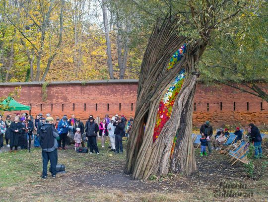 Rzeźba "Wierzba" Jana Sajdaka - wielkie otwarcie