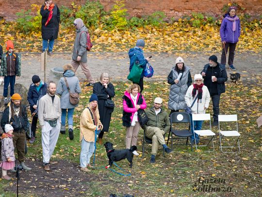 Rzeźba "Wierzba" Jana Sajdaka - wielkie otwarcie
