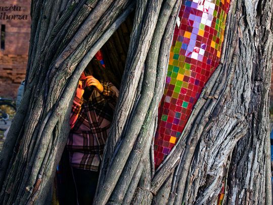 Rzeźba "Wierzba" Jana Sajdaka - wielkie otwarcie