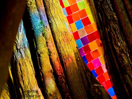 Rzeźba "Wierzba" Jana Sajdaka - wielkie otwarcie