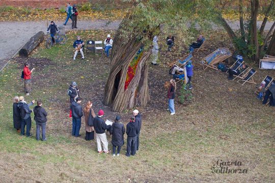 Rzeźba "Wierzba" Jana Sajdaka - wielkie otwarcie  Rzeźba "Wierzba" Jana Sajdaka - wielkie otwarcie