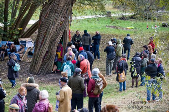 Rzeźba "Wierzba" Jana Sajdaka - wielkie otwarcie 
