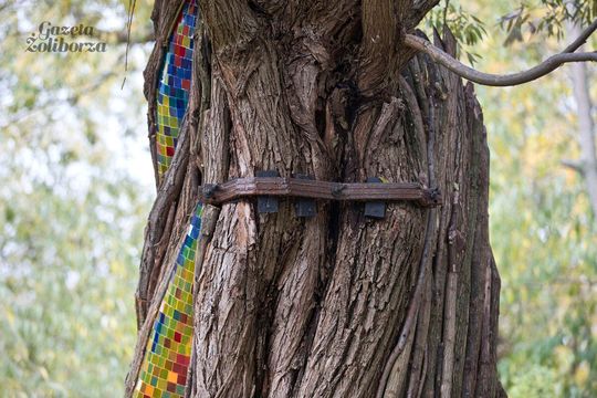 Rzeźba "Wierzba" Jana Sajdaka - wielkie otwarcie 