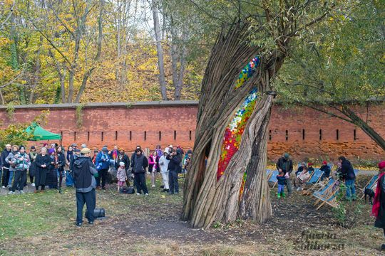 Rzeźba "Wierzba" Jana Sajdaka - wielkie otwarcie 