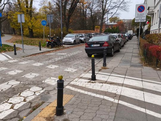 Mistrzowie parkowania #95