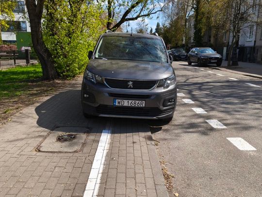 Mistrzowie parkowania #105