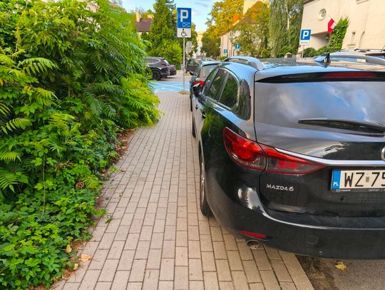 Mistrzowie parkowania #113