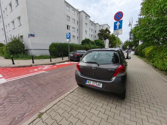 Mistrzowie parkowania #114