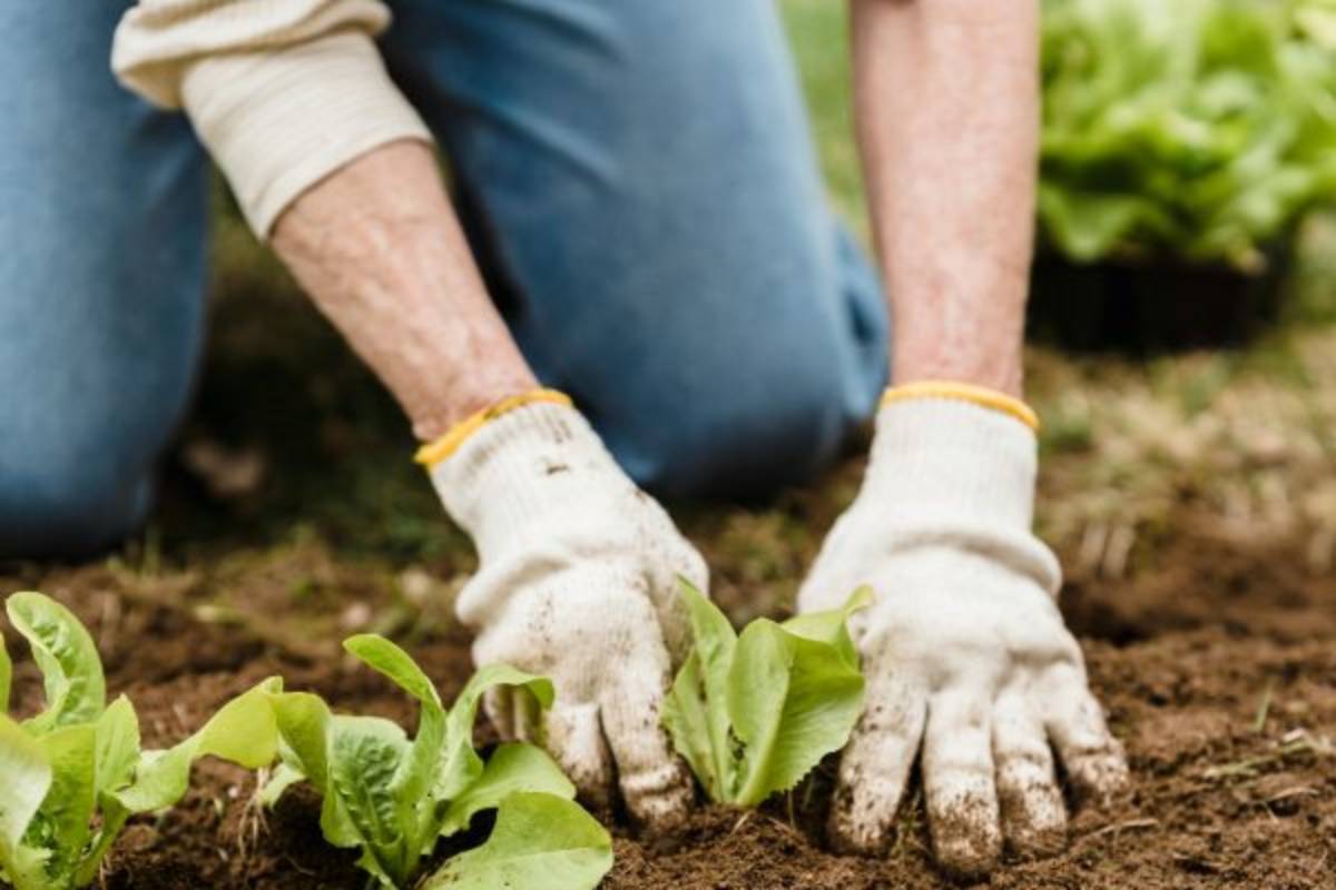Islandia praca zakwaterowanie