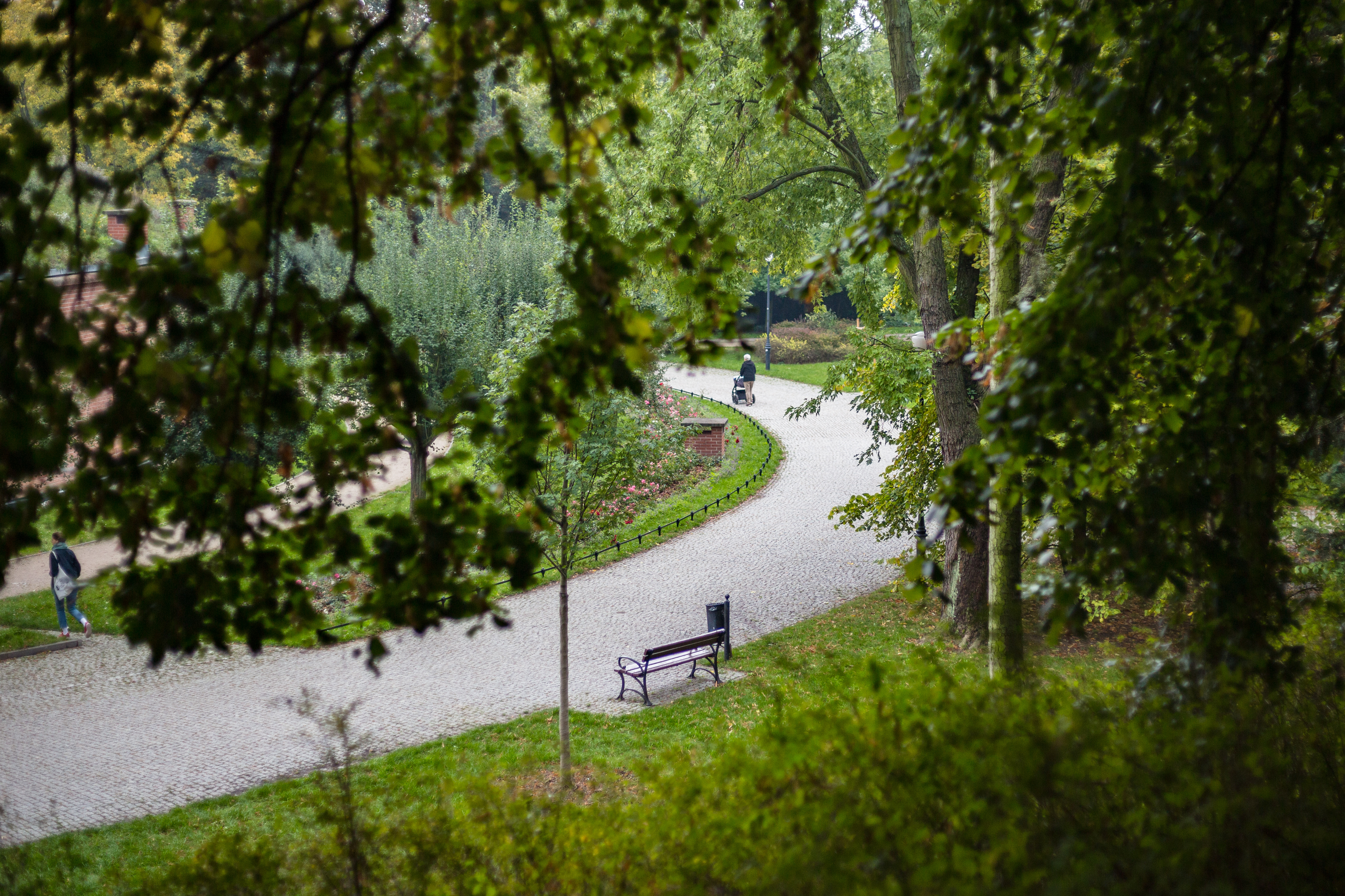 Park Żeromskiego