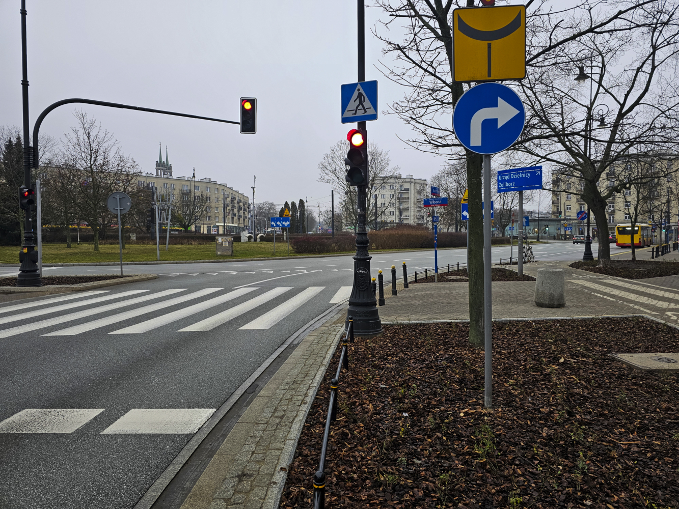 Przybyło zieleni na placu Wilsona