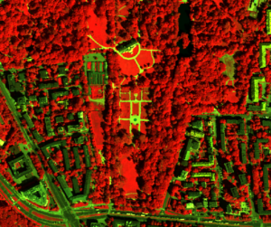 Mapa Koron Drzew, zrzut 4 / UM Warszawa